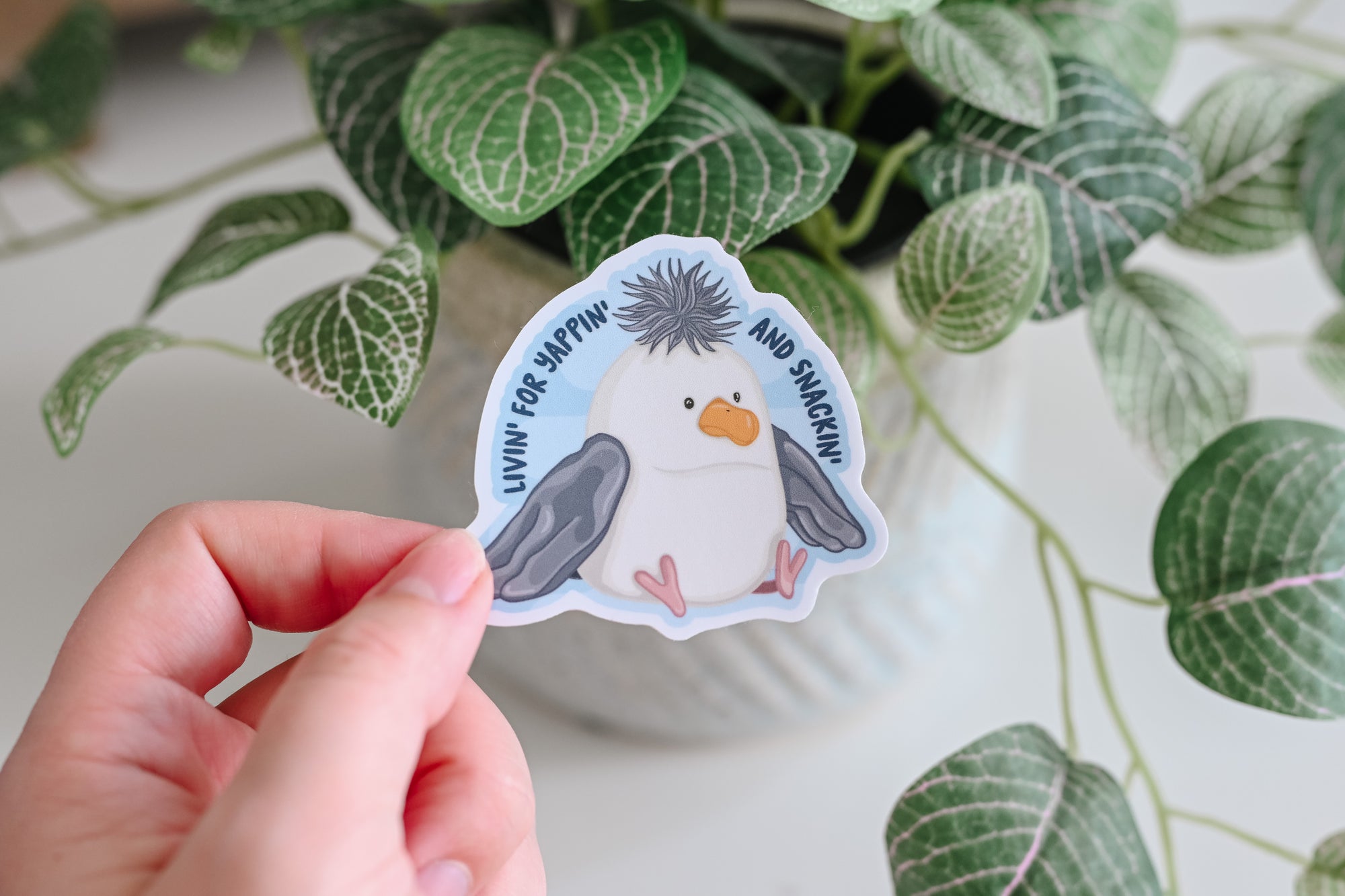 Seagull Jelly Yappin&#39; and Snackin&#39; Sticker